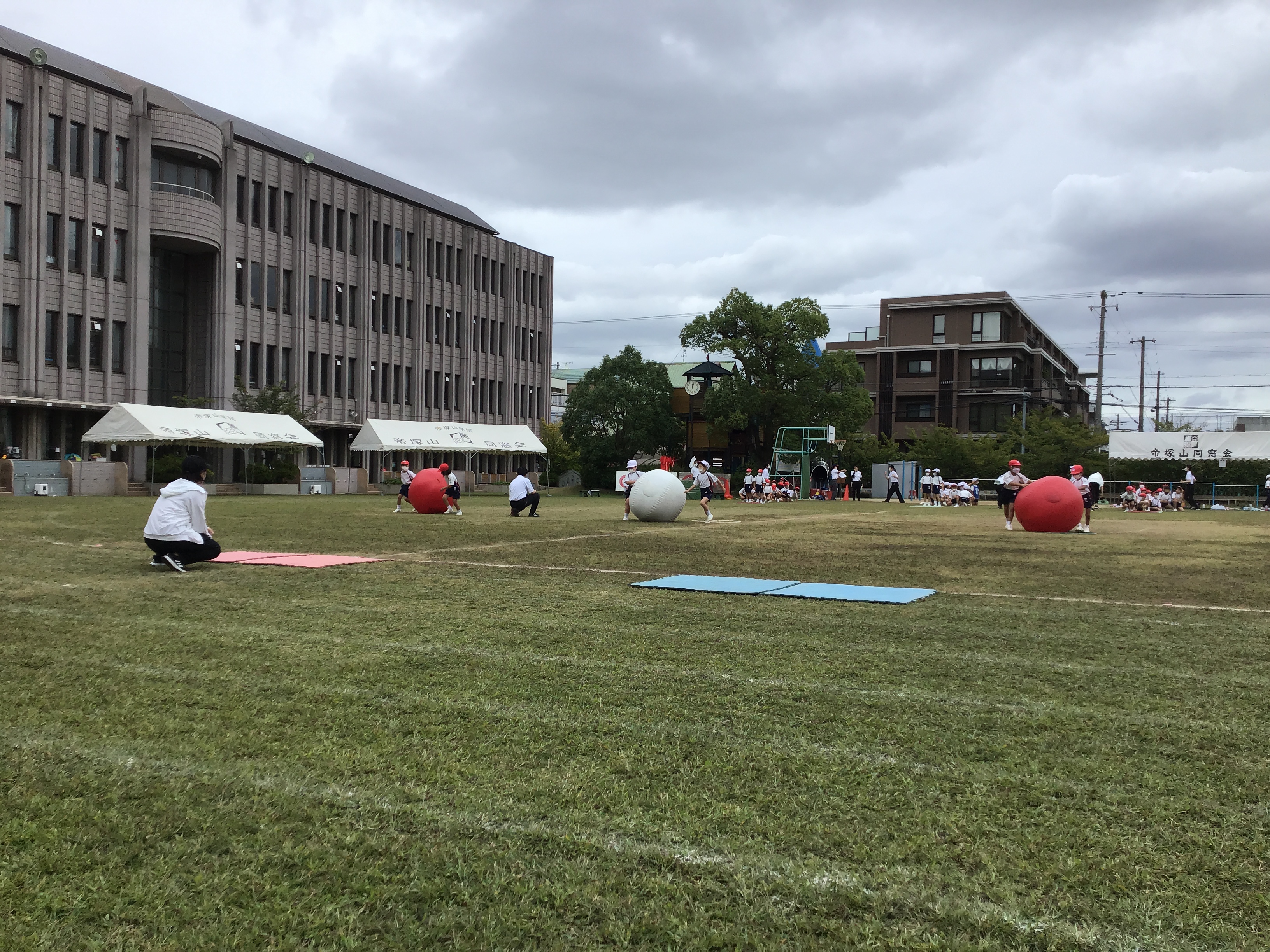 教育の特色 | 帝塚山小学校