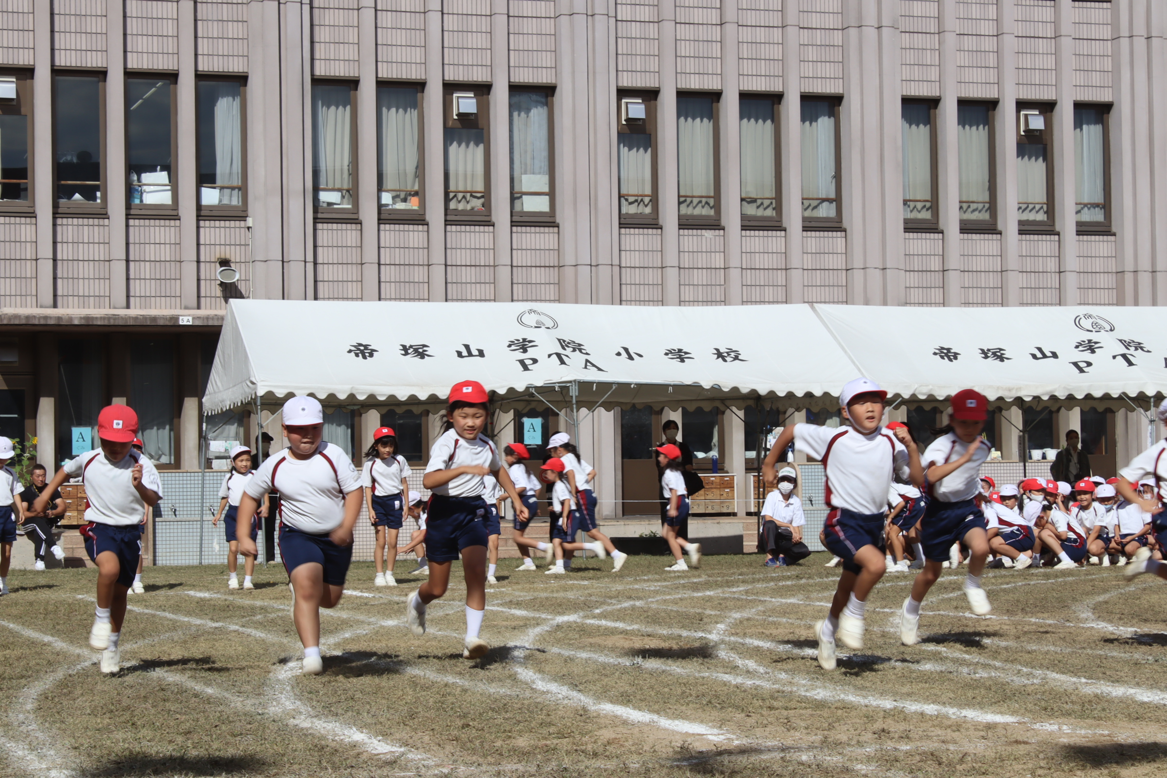 帝塚山小学校