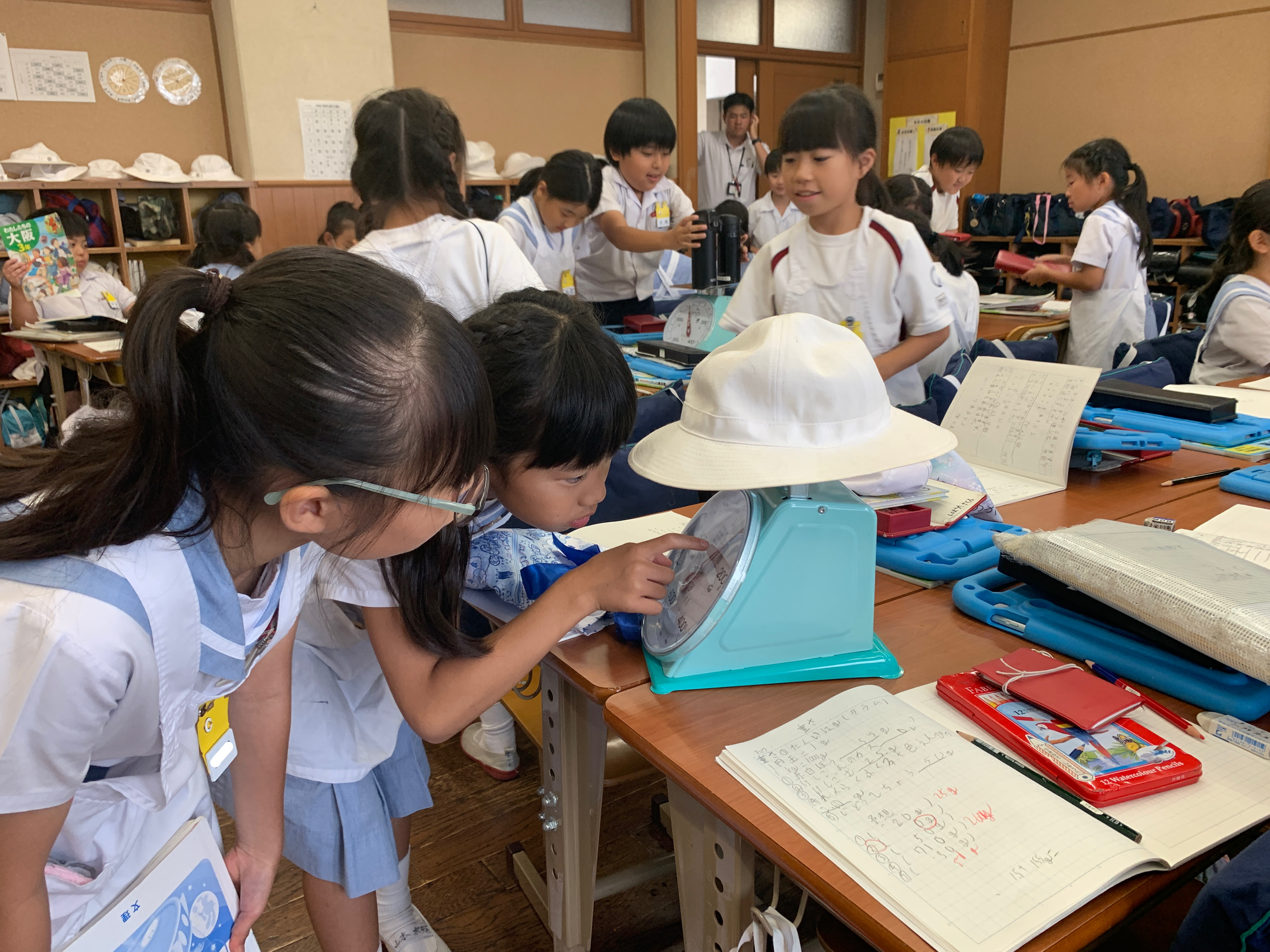 お知らせ ｜ 帝塚山学院小学校
