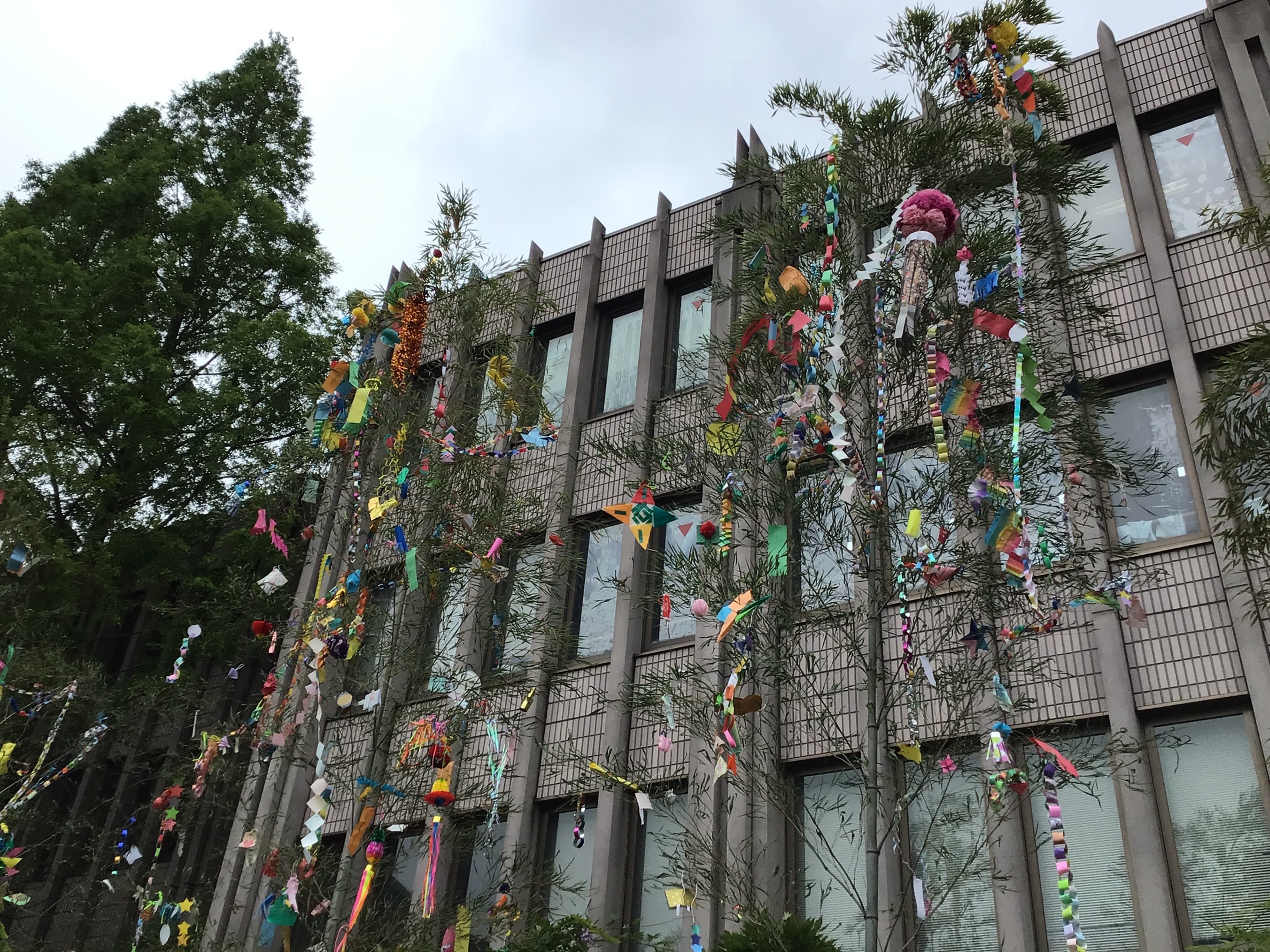 お知らせ | 帝塚山学院小学校 お知らせ | 帝塚山学院小学校