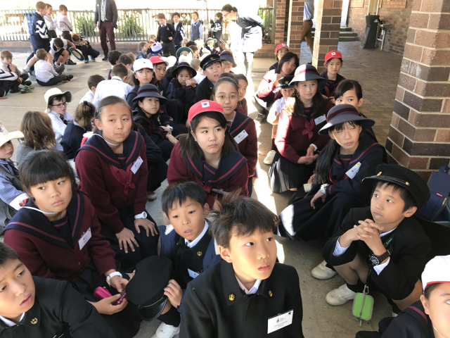 帝塚山学院小学校ニュース 帝塚山学院小学校