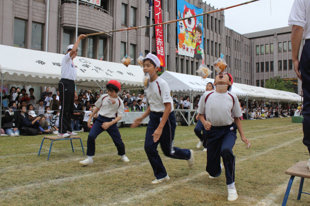 帝塚山学院小学校ニュース 帝塚山学院小学校
