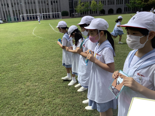 帝塚山学院小学校ニュース 帝塚山学院小学校