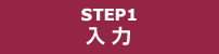 入力